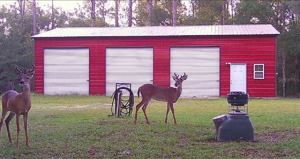 合同活跃: $389,900 (3 贝兹, 2 浴室, 1568 平方英尺)