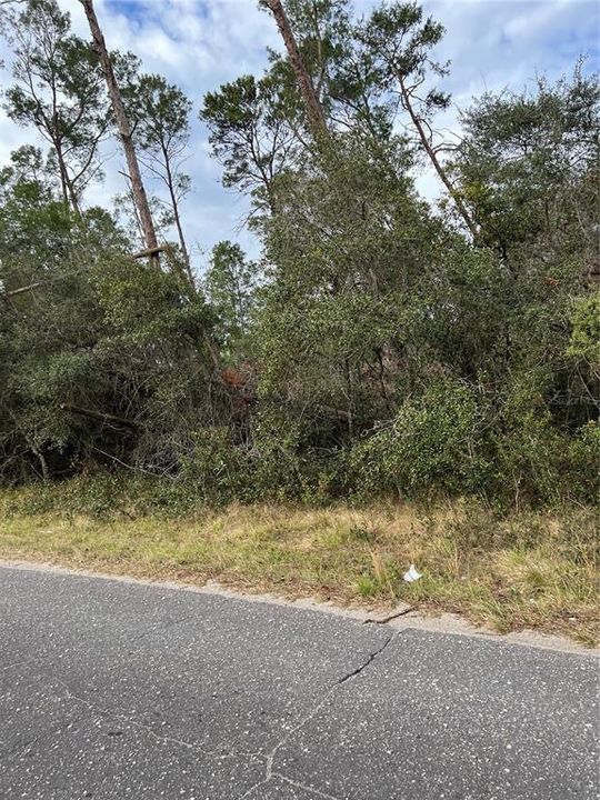 For Sale: $400,000 (18.12 acres)