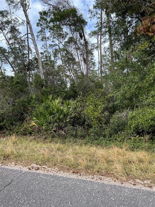 For Sale: $400,000 (18.12 acres)