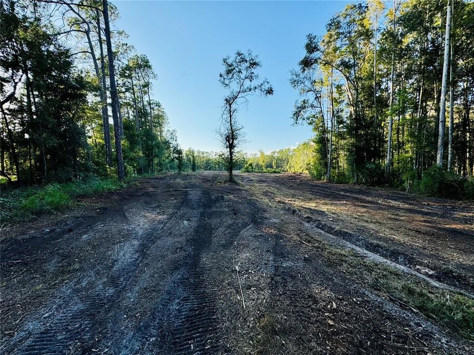 待售: $350,000 (9.34 acres)