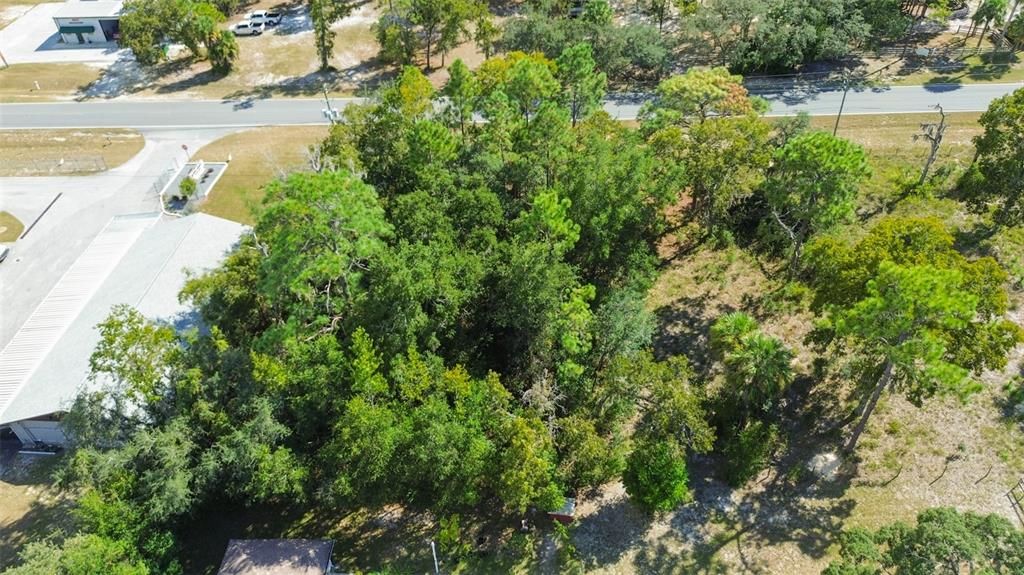 For Sale: $40,000 (0.34 acres)