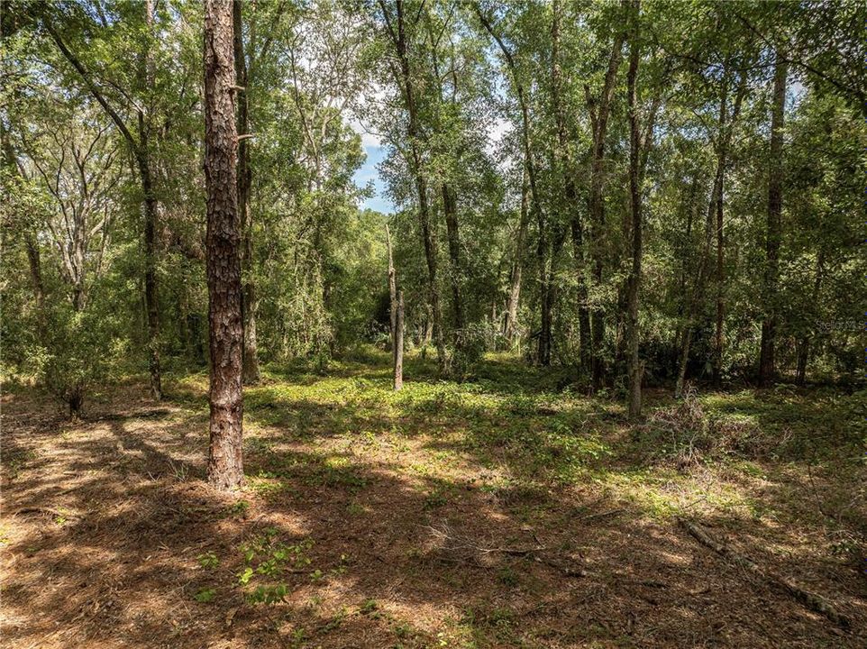 待售: $400,000 (3 贝兹, 2 浴室, 2128 平方英尺)