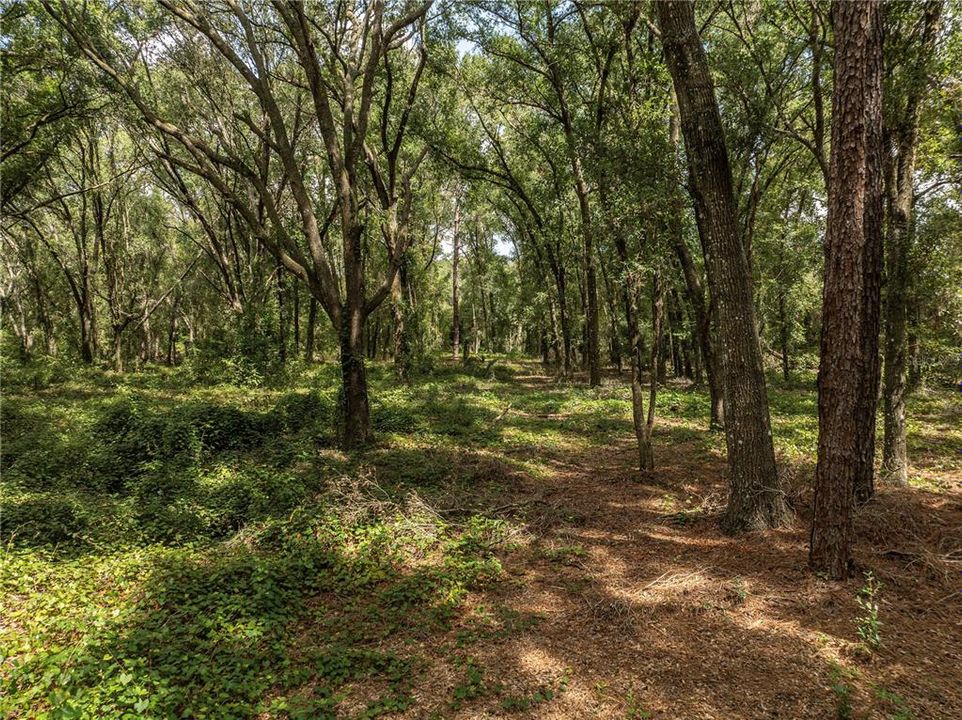 待售: $400,000 (3 贝兹, 2 浴室, 2128 平方英尺)