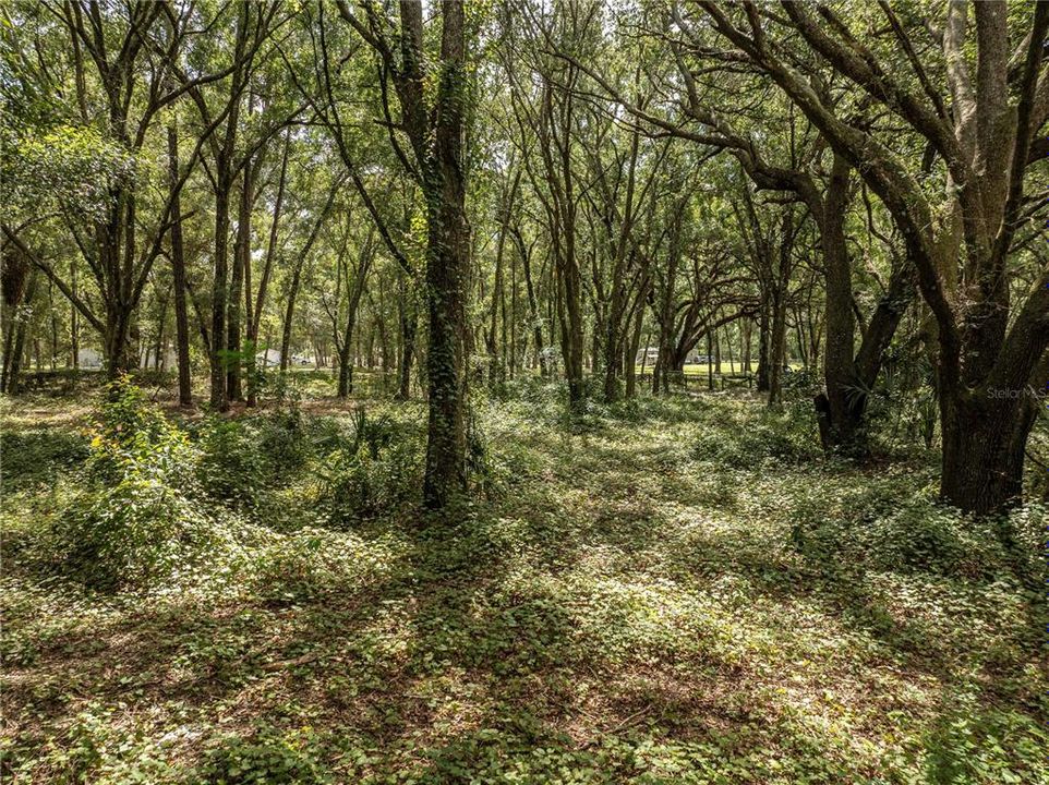 待售: $400,000 (3 贝兹, 2 浴室, 2128 平方英尺)