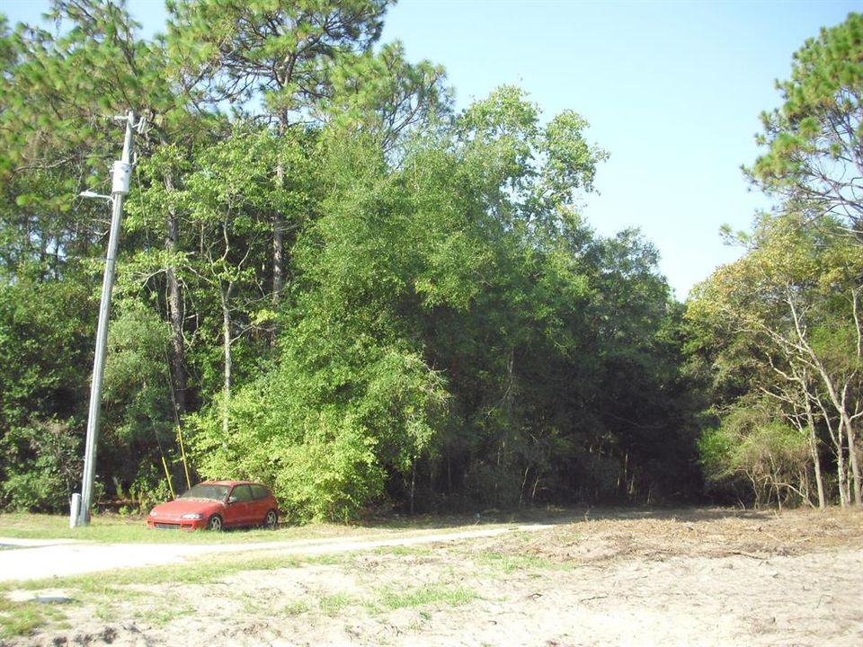 For Sale: $30,000 (0.23 acres)