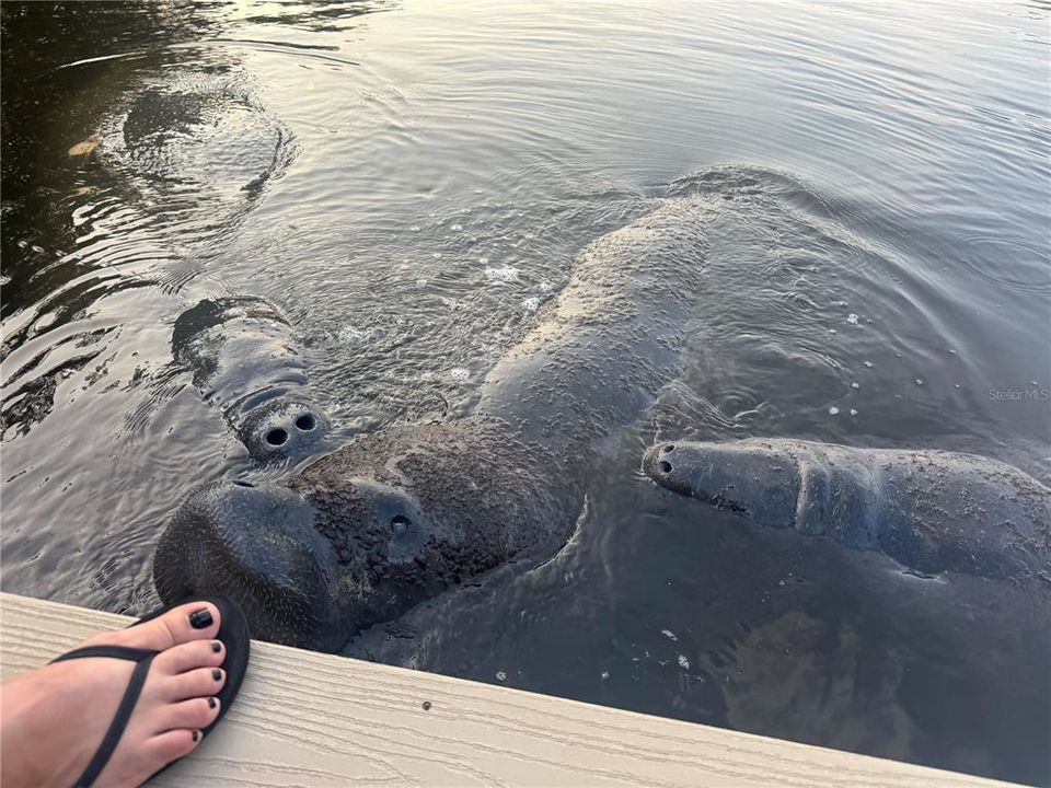 For Sale: $839,990 (3 beds, 2 baths, 1502 Square Feet)