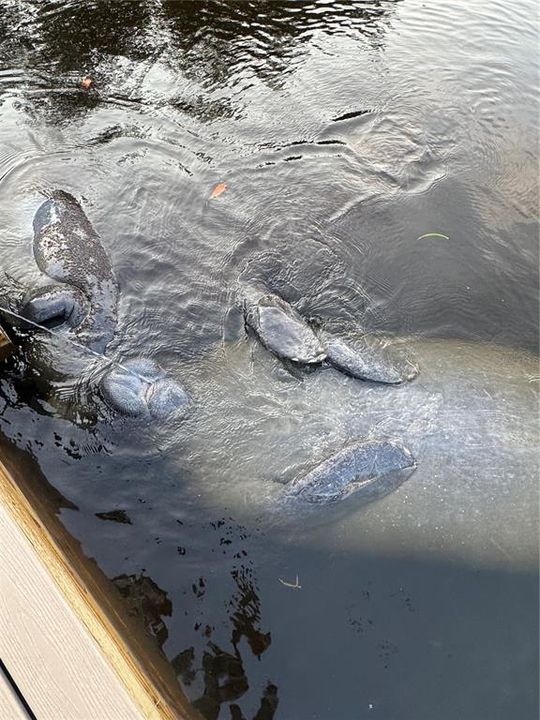 For Sale: $839,990 (3 beds, 2 baths, 1502 Square Feet)