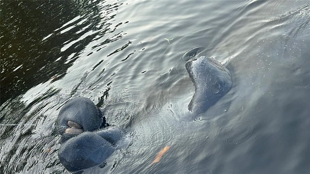 For Sale: $839,990 (3 beds, 2 baths, 1502 Square Feet)