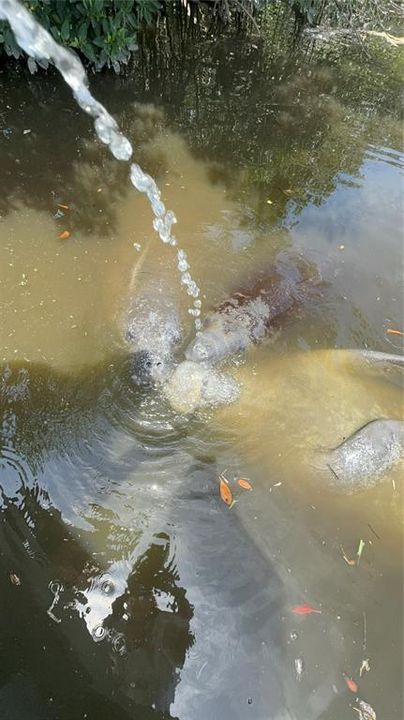 For Sale: $839,990 (3 beds, 2 baths, 1502 Square Feet)