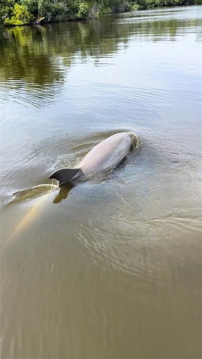 For Sale: $839,990 (3 beds, 2 baths, 1502 Square Feet)