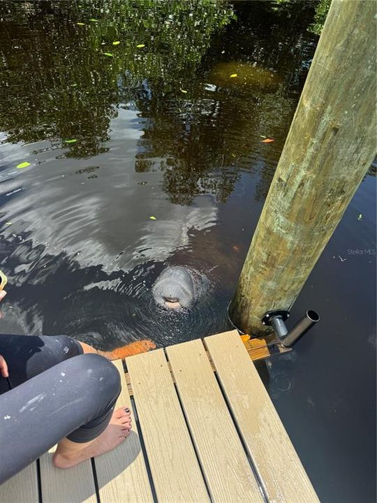 For Sale: $839,990 (3 beds, 2 baths, 1502 Square Feet)