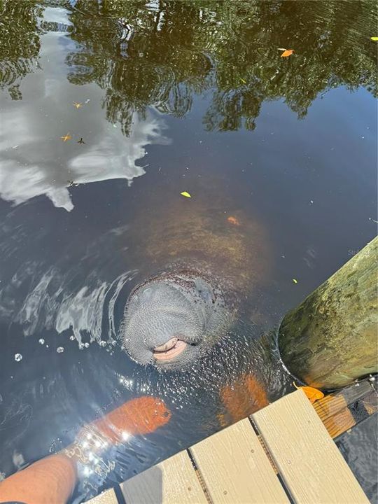 For Sale: $839,990 (3 beds, 2 baths, 1502 Square Feet)