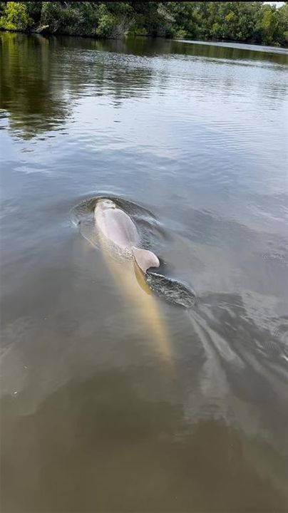 For Sale: $839,990 (3 beds, 2 baths, 1502 Square Feet)