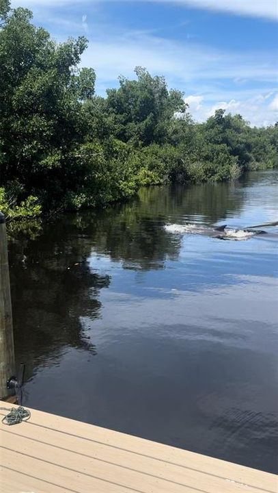 For Sale: $839,990 (3 beds, 2 baths, 1502 Square Feet)