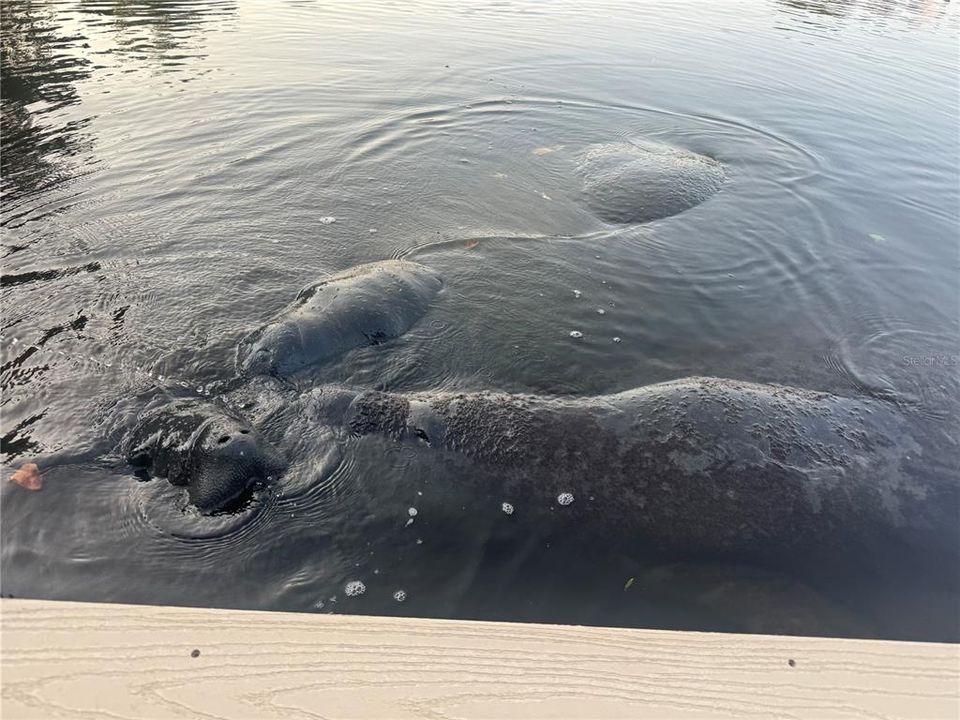 For Sale: $839,990 (3 beds, 2 baths, 1502 Square Feet)