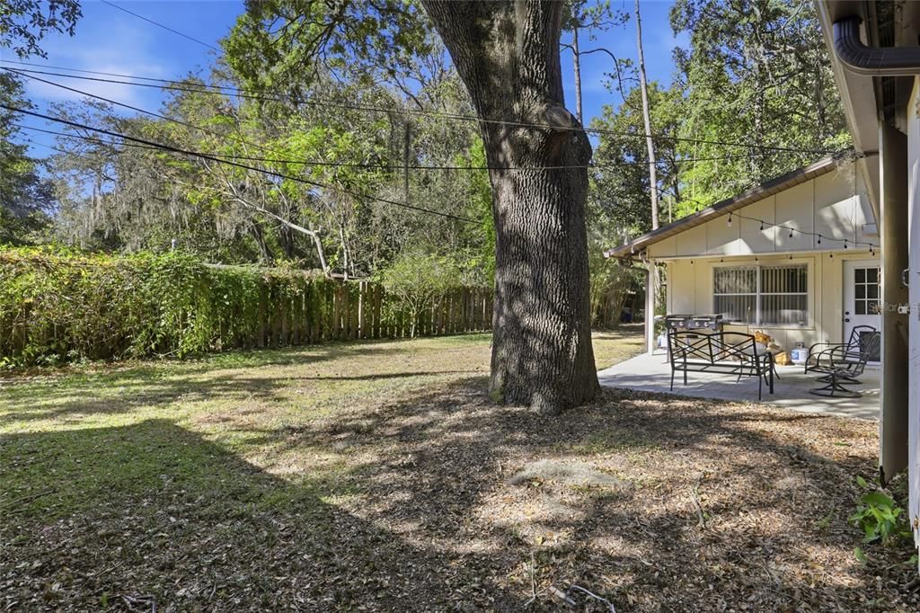 合同活跃: $365,000 (4 贝兹, 2 浴室, 2078 平方英尺)