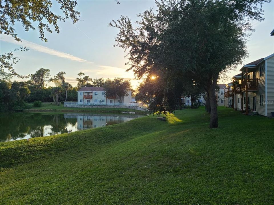 Active With Contract: $1,400 (2 beds, 2 baths, 1008 Square Feet)