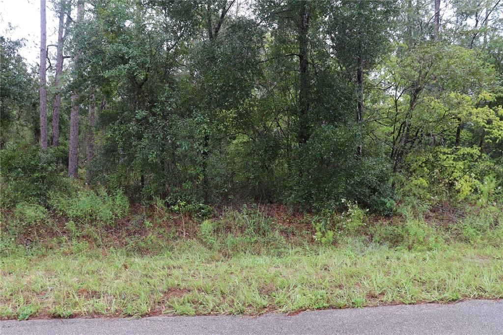 For Sale: $30,000 (0.33 acres)