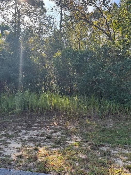 For Sale: $35,000 (0.27 acres)