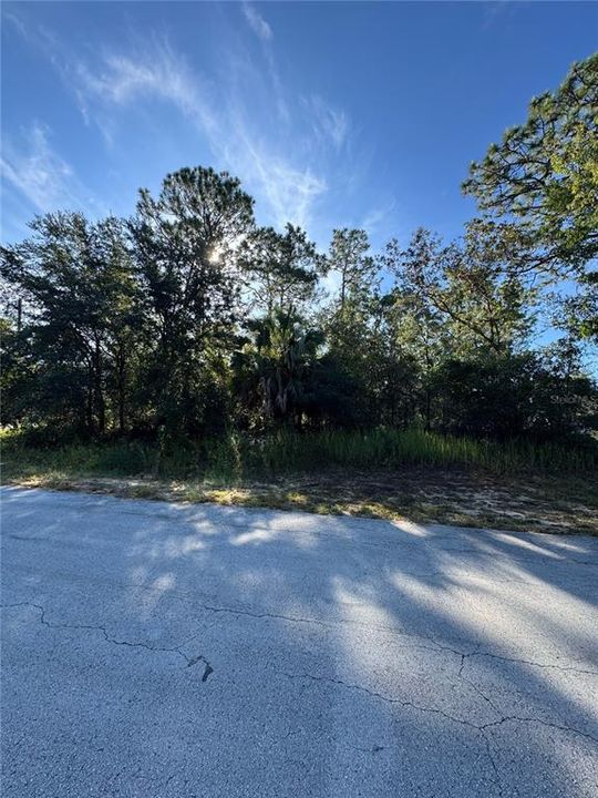 For Sale: $35,000 (0.27 acres)