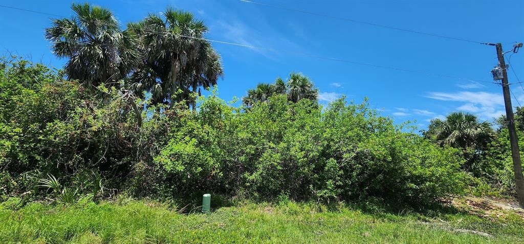 For Sale: $21,500 (0.17 acres)