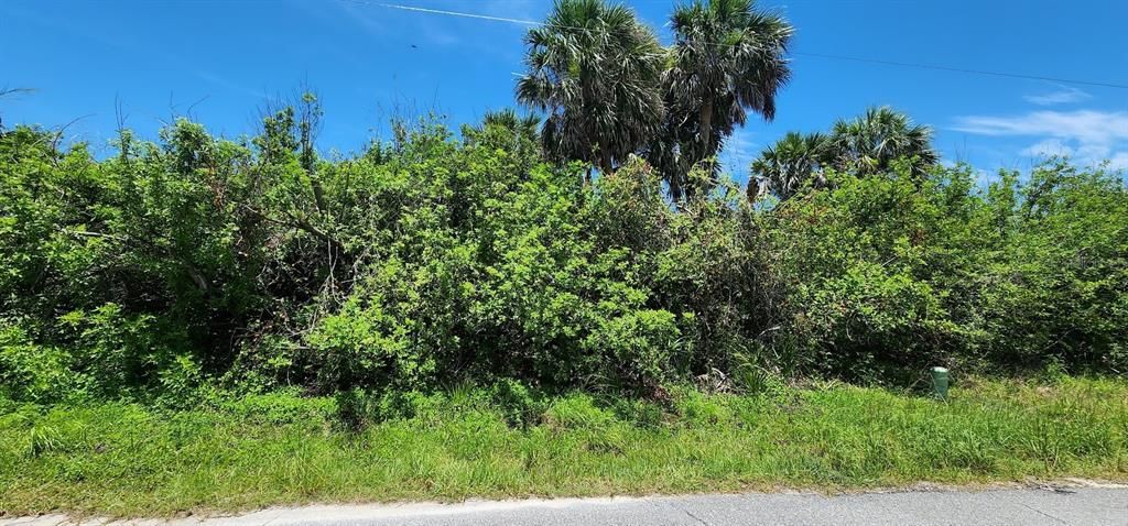 For Sale: $21,500 (0.17 acres)