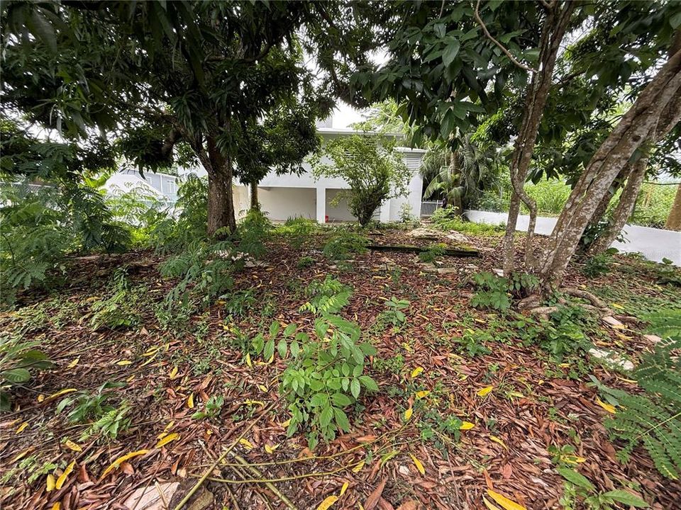 На продажу: $339,000 (4 спален, 2 ванн, 1409 Квадратных фут)