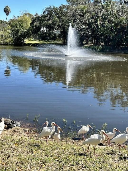 Active With Contract: $2,500 (2 beds, 2 baths, 1133 Square Feet)