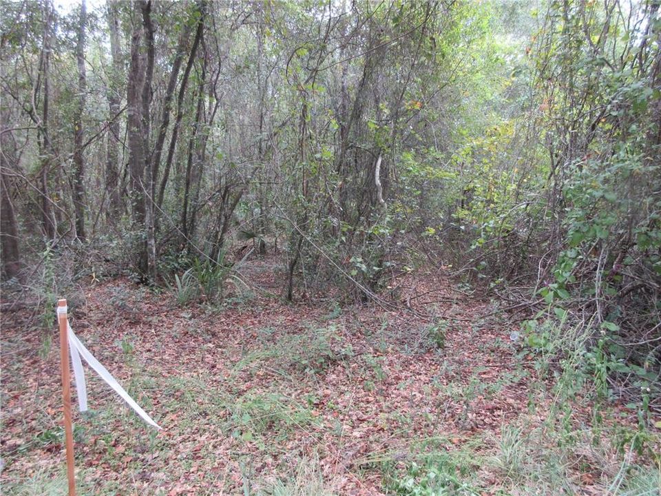 For Sale: $25,000 (0.57 acres)