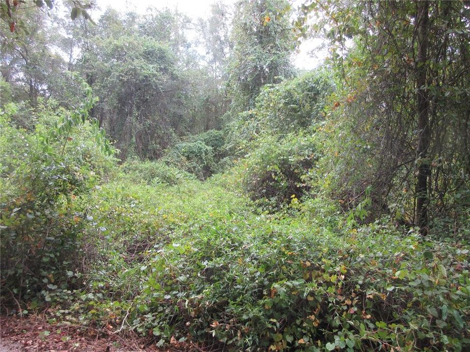 For Sale: $25,000 (0.57 acres)