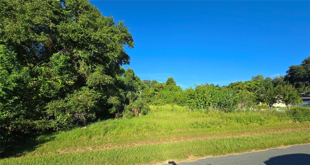 待售: $175,000 (0.59 acres)