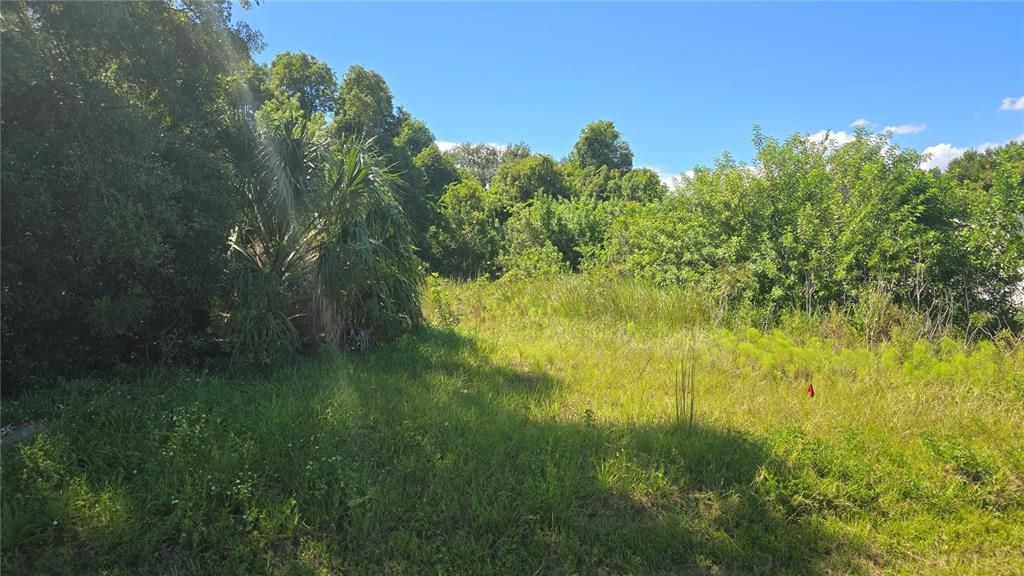 待售: $175,000 (0.59 acres)