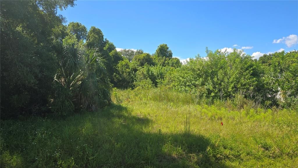 待售: $175,000 (0.59 acres)