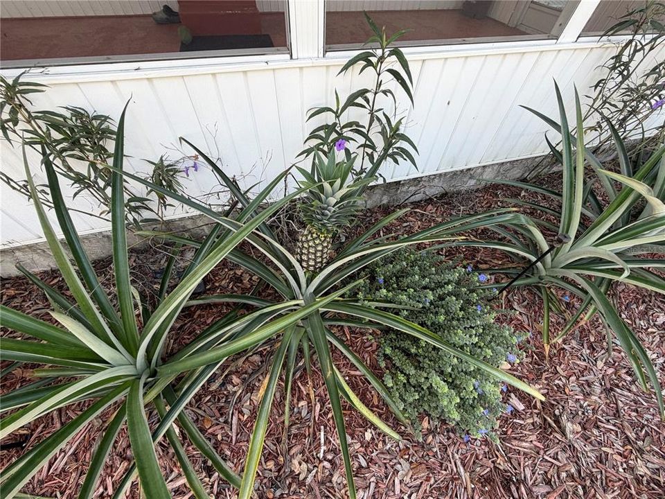 На продажу: $385,000 (6 спален, 3 ванн, 2040 Квадратных фут)