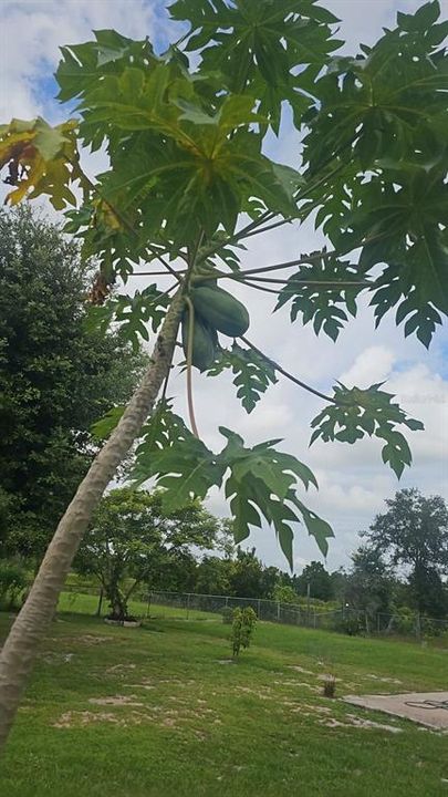 На продажу: $385,000 (6 спален, 3 ванн, 2040 Квадратных фут)