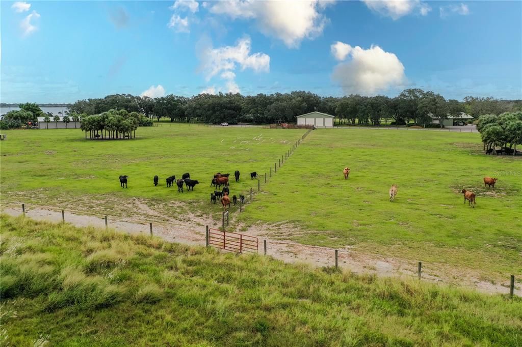 For Sale: $1,900,000 (4 beds, 4 baths, 3661 Square Feet)