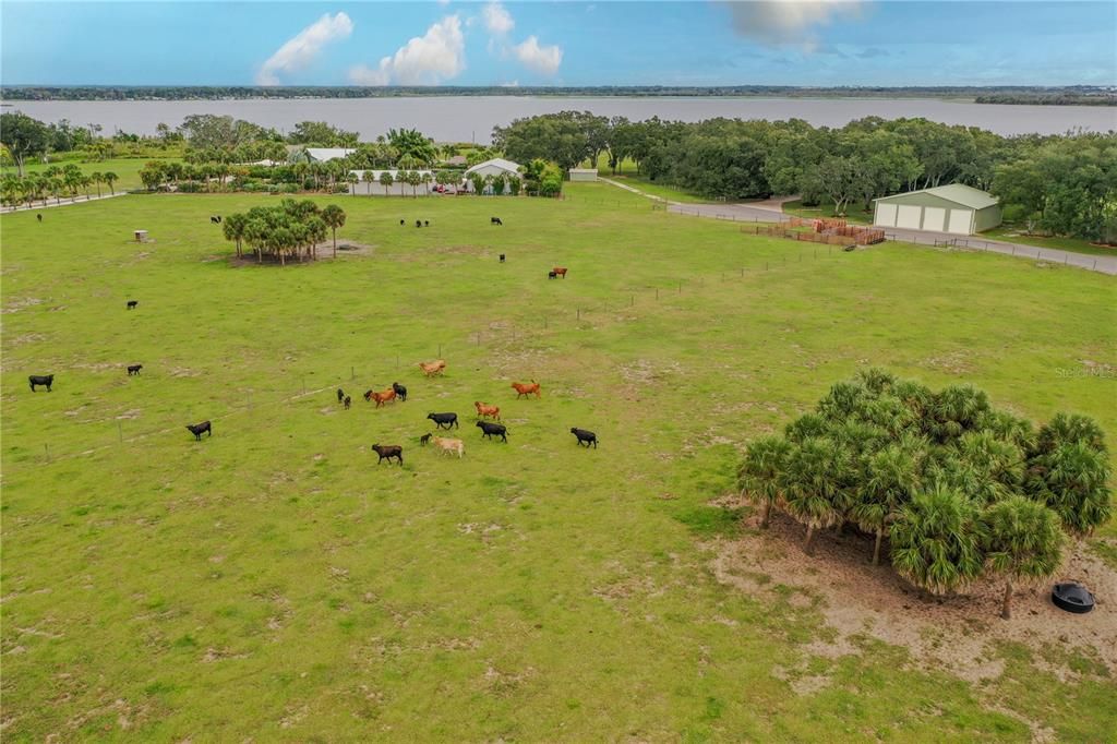 En Venta: $500,000 (10.08 acres)