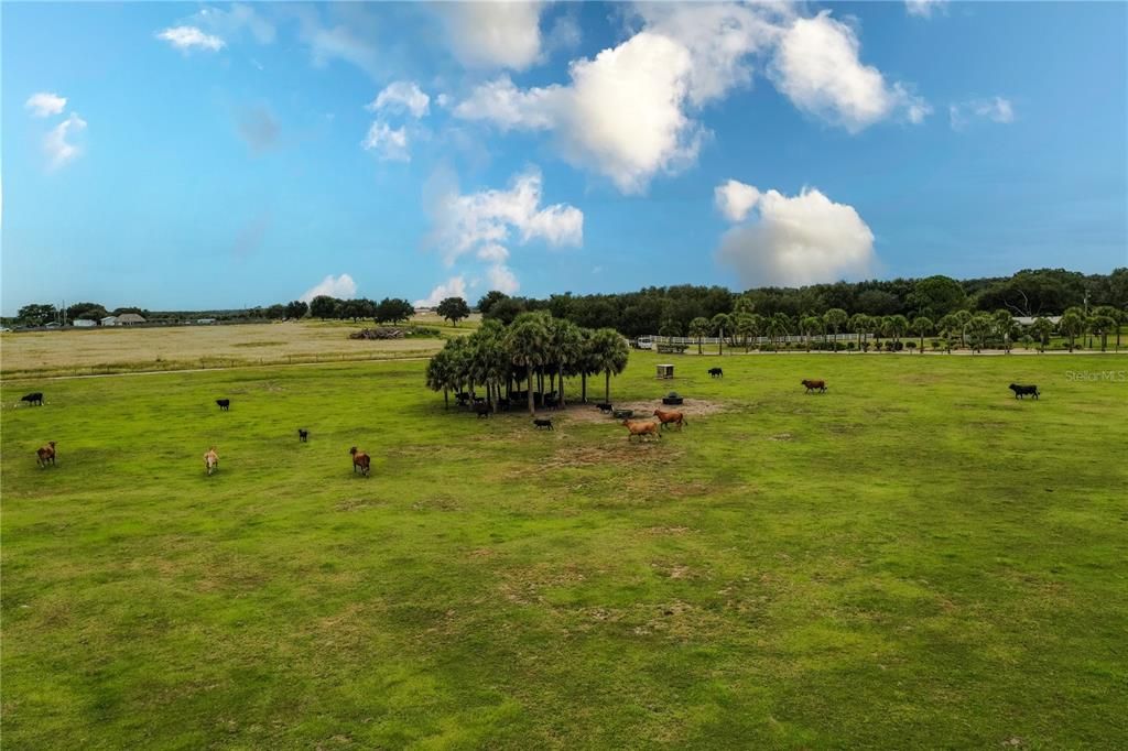 En Venta: $500,000 (10.08 acres)