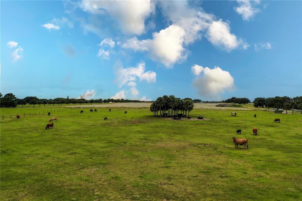 En Venta: $500,000 (10.08 acres)