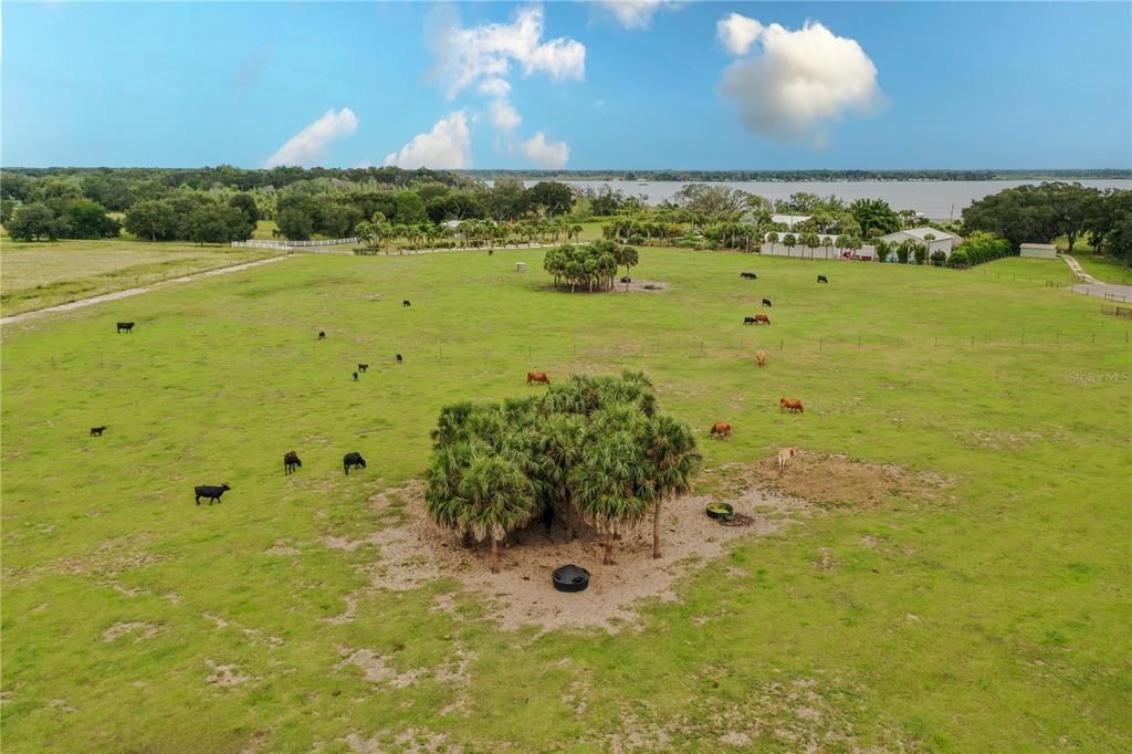 En Venta: $500,000 (10.08 acres)