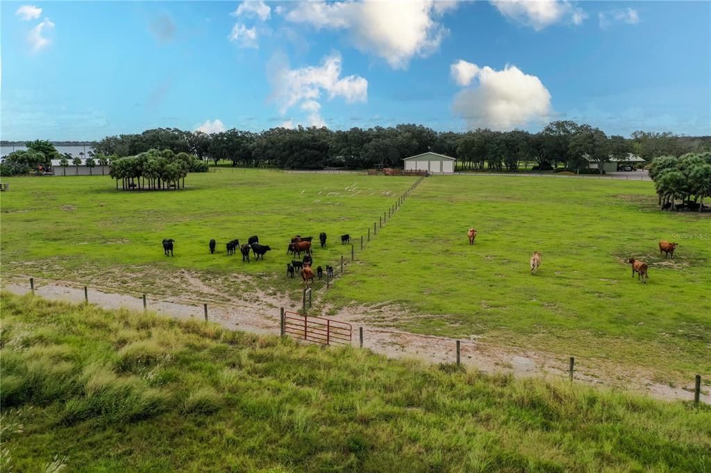 En Venta: $500,000 (10.08 acres)