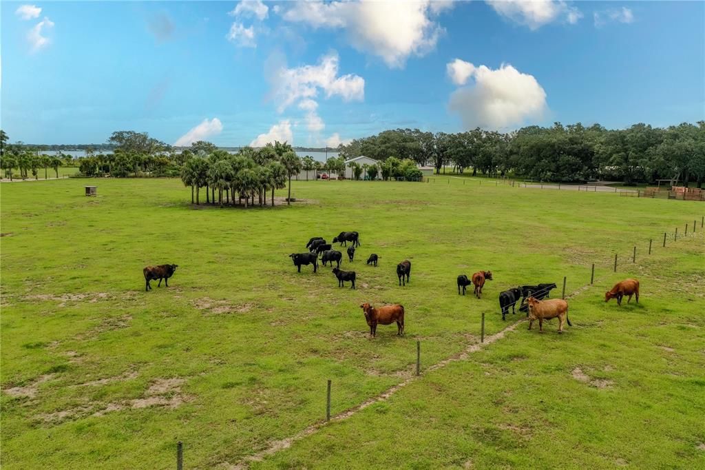 En Venta: $500,000 (10.08 acres)