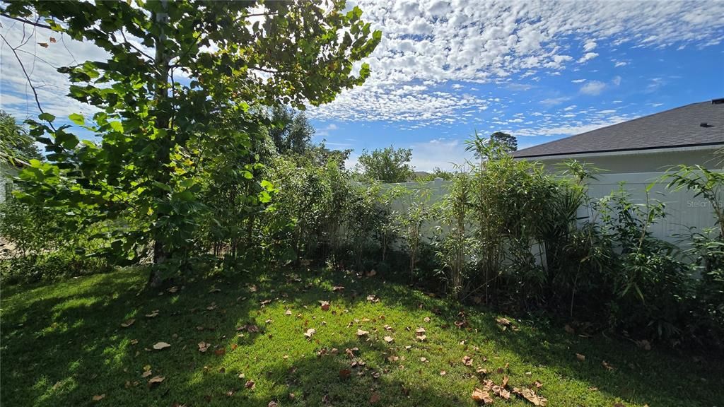 For Sale: $195,000 (2 beds, 1 baths, 943 Square Feet)