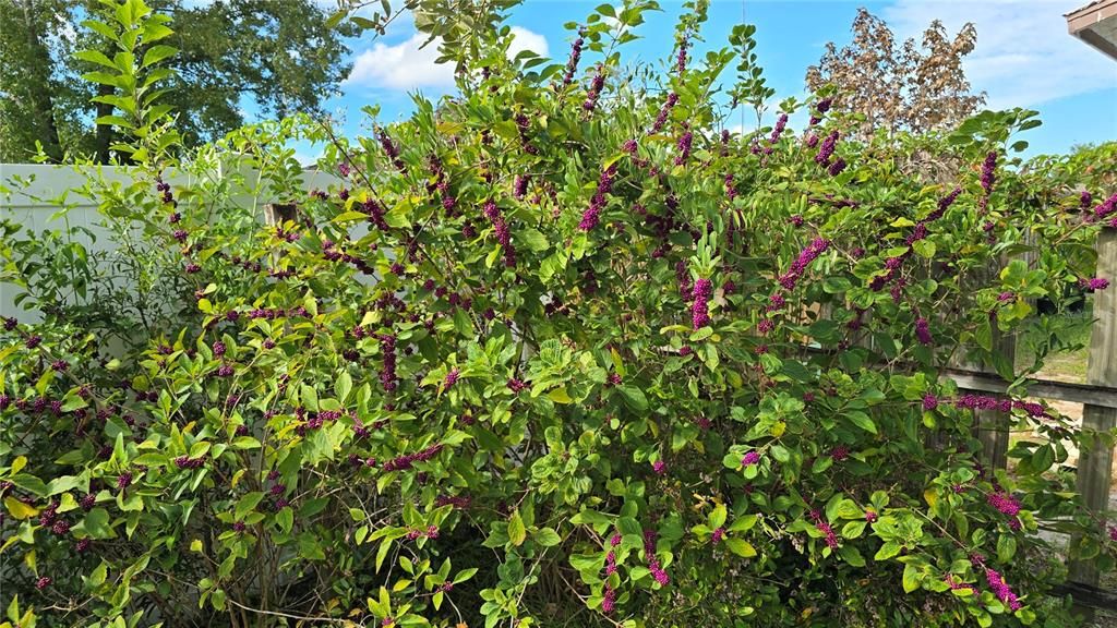 For Sale: $195,000 (2 beds, 1 baths, 943 Square Feet)