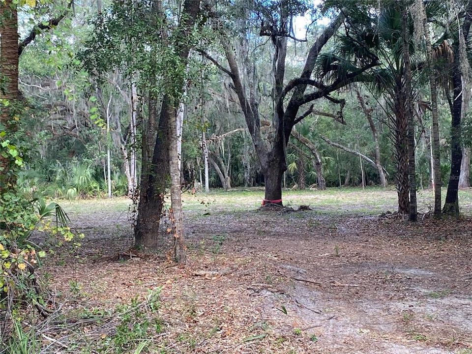 Activo con contrato: $58,000 (1.20 acres)