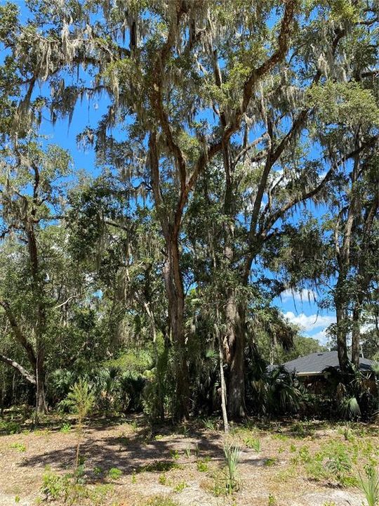 Activo con contrato: $58,000 (1.20 acres)