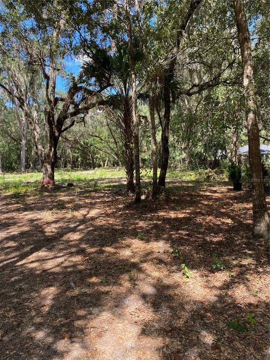 Activo con contrato: $58,000 (1.20 acres)