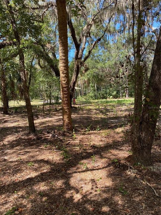Activo con contrato: $58,000 (1.20 acres)