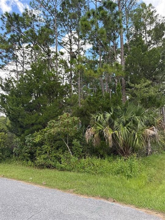 En Venta: $71,000 (0.23 acres)