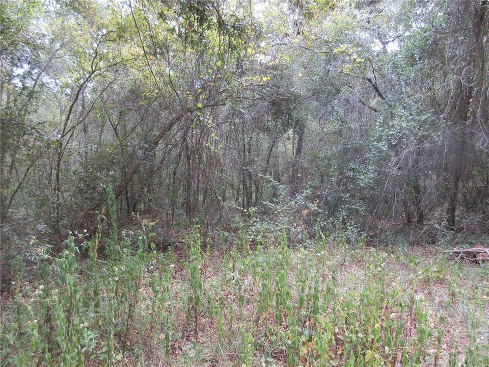 На продажу: $25,000 (0.57 acres)